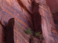 03 zn01 140-DSC01888