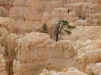 06 br01 102 P1020242