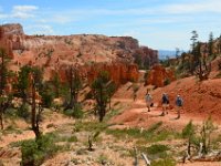 06 br01 236 DSC 0168