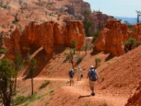 06 br01 246 DSC 0170