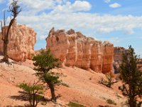 06 br01 266 DSC 0174