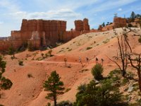 06 br01 351 DSC 0191