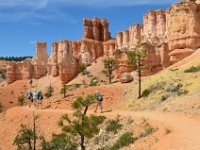 06 br01 366 DSC 0194