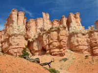 06 br01 376 DSC 0196