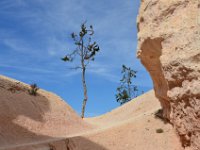 06 br01 396 DSC 0200