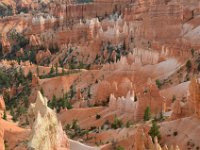 06 br01 482 DSC 0220