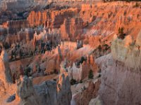 07 br02 109 DSC 0257