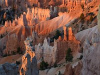 07 br02 137 DSC 0264