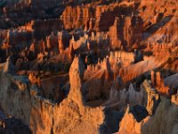 07 br02 185 DSC 0276