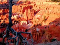 07 br02 198 DSC00300-ed