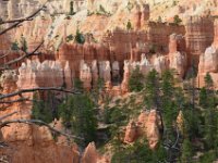 07 br02 329 DSC 0312