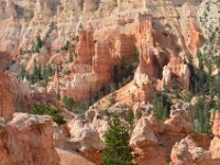 07 br02 337 DSC 0314