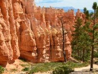 07 br02 421 DSC 0336