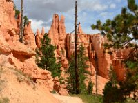 07 br02 429 DSC 0338