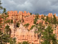 07 br02 433 DSC 0339