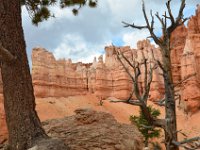 07 br02 577 DSC 0375