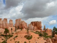 07 br02 597 DSC 0380