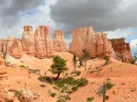 07 br02 605 DSC 0382