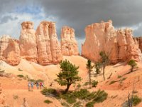 07 br02 621 DSC 0386