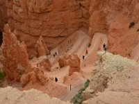 07 br02 693 DSC 0391 13